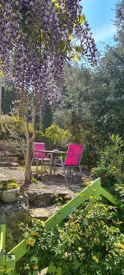 Studio De Charme + Terrasse : Verdon, Lac, Plages Claviers 외부 사진